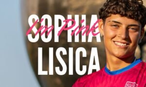 Sophia lisica